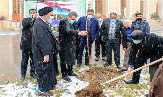 برگزاری آیین درختکاری در محوطه مصلی اعظم امام خمینی