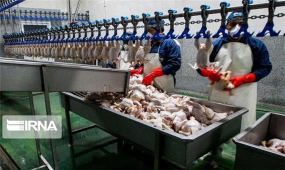 کشتار مرغ در آذربایجان‌شرقی به یک سوم کاهش یافته است
