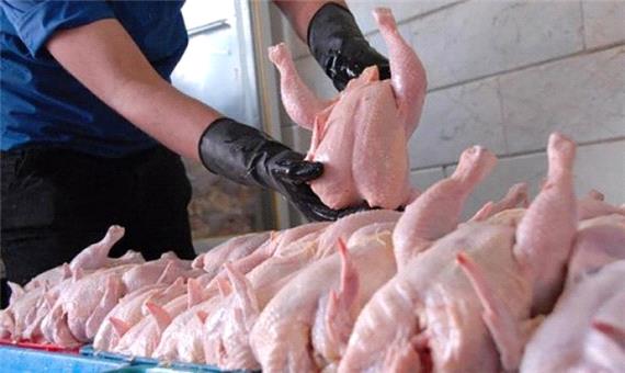 از وعدع توزیع 400 تن مرغ منجمد تنظیم بازار تا ادامه صف مرغ در آذربایجان‌غربی