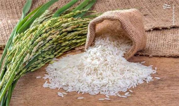 برنج ایرانی را امسال ارزان بخرید