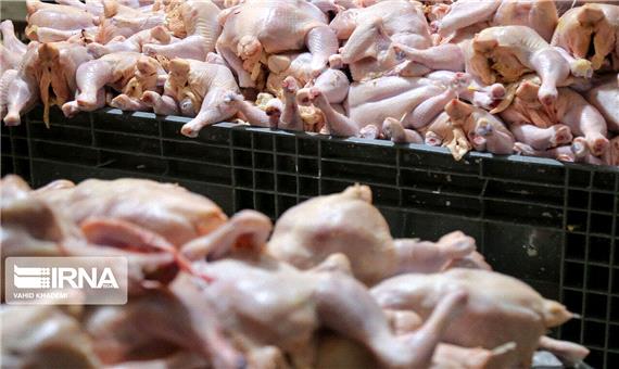 خلا 10 روزه جوجه‌ریزی باعث کمبود مرغ در آذربایجان‌غربی شد