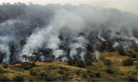 نقاط بحرانی جنگل‌های ارسباران در مخاطرات حریق شناسایی شد