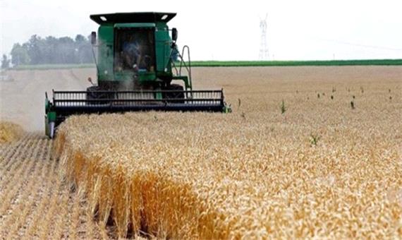 قیمت خرید تضمینی گندم در آذربایجان‌غربی اعلام شد