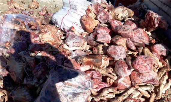 حدود 16 تن گوشت فاسد در مهاباد معدوم شد