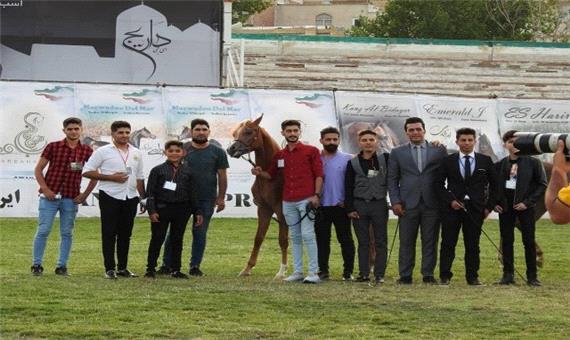 انتخاب 2 اسب از جلفا در مسابقات اسب اصیل اردبیل