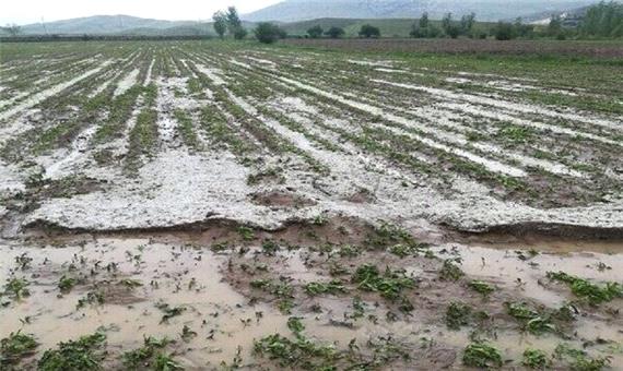 خسارت 1731 میلیارد تومانی حوادث غیرمترقبه به بخش کشاورزی آذربایجان غربی