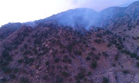 مهار آتش سوزی کوه نیر لوداب سخت شده است
