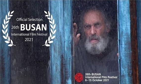 راه‌یابی "مرد ابری" به جشنواره فیلم بوسان و چند خبر کوتاه از اردبیل