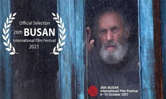 راه‌یابی مرد ابری به جشنواره فیلم بوسان و چند خبر کوتاه از اردبیل