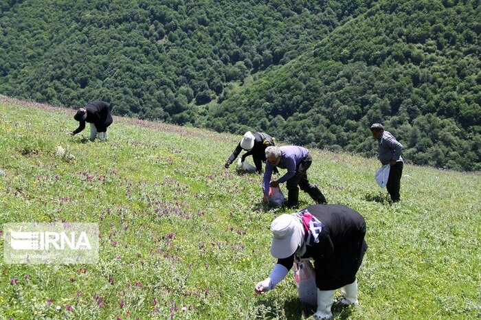 پیام آذری