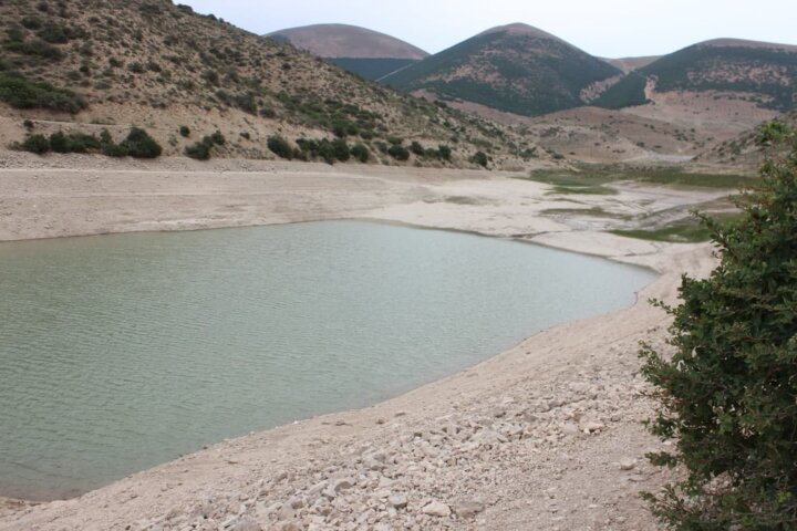 پیام آذری