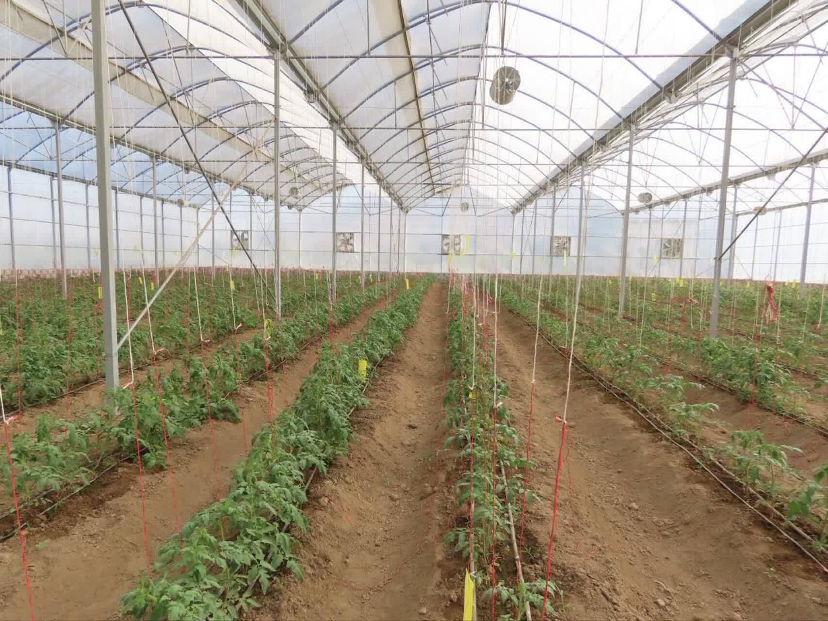 پیام آذری