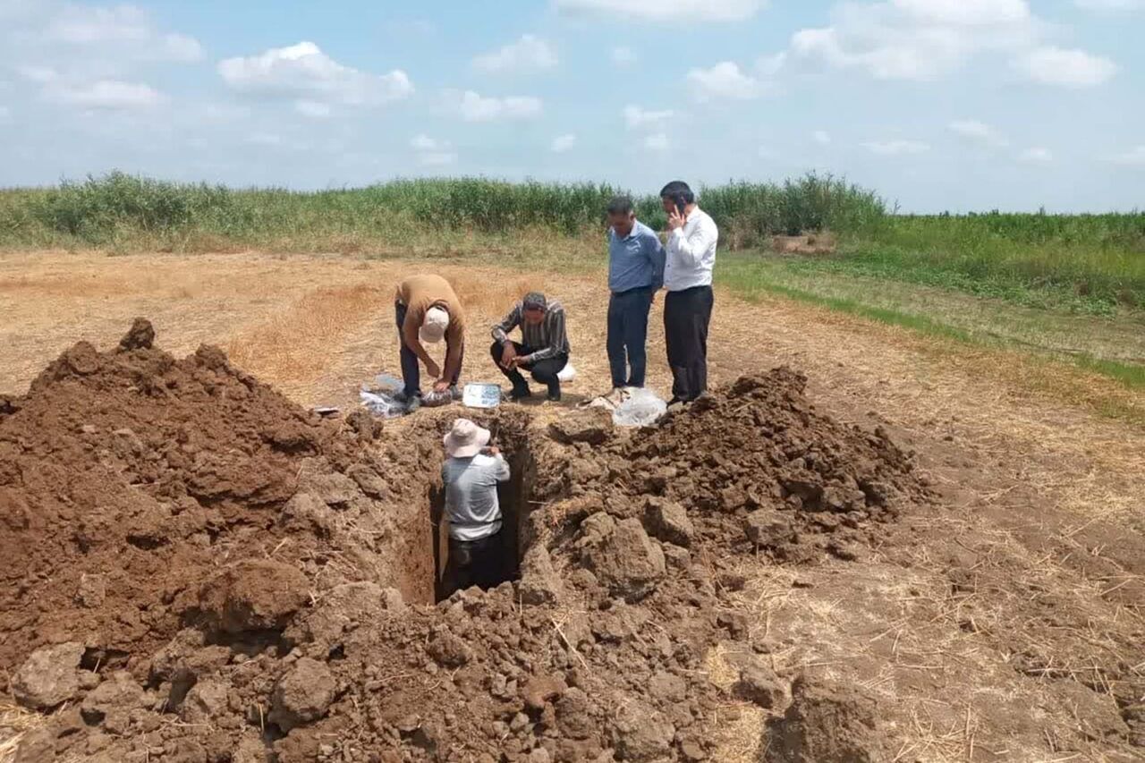 پیام آذری