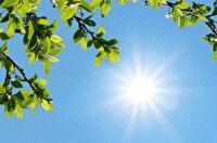 استمرار الگو‌های پایدار و تابستانی در آذربایجان غربی