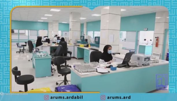 کلیپ سگ گردانی