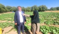 بهینه‌سازی مصرف آب کشاورزی در آذرشهر با توسعه آبیاری نوین