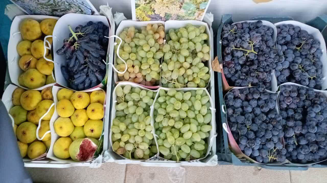 پیام آذری