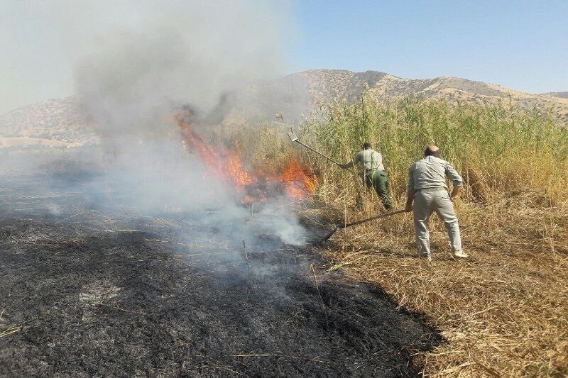 آتش‌سوزی در نیزارهای تالاب کانی‌برازان مهاباد مهار شد؛ علت آتش عوامل انسانی بود