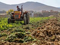 افزایش اراضی کشاورزی در ۲۰ سال گذشته، ۲ میلیارد متر مکعب از حق‌آبه دریاچه ارومیه را بلعید