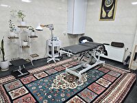 پلمب مرکز غیرمجاز کایروپراکتیک در اردبیل