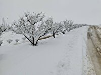 رخت زمستانی بر قامت طبیعت تکاب