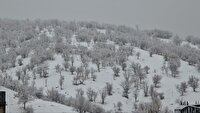 زمستان به سردشت برگشت برف ۱۲ سانتی‌متری شهر را زیباتر کرد