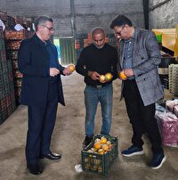 تأمین میوه مورد نیاز استان آذربایجان غربی برای تنظیم بازار شب عید و نوروز