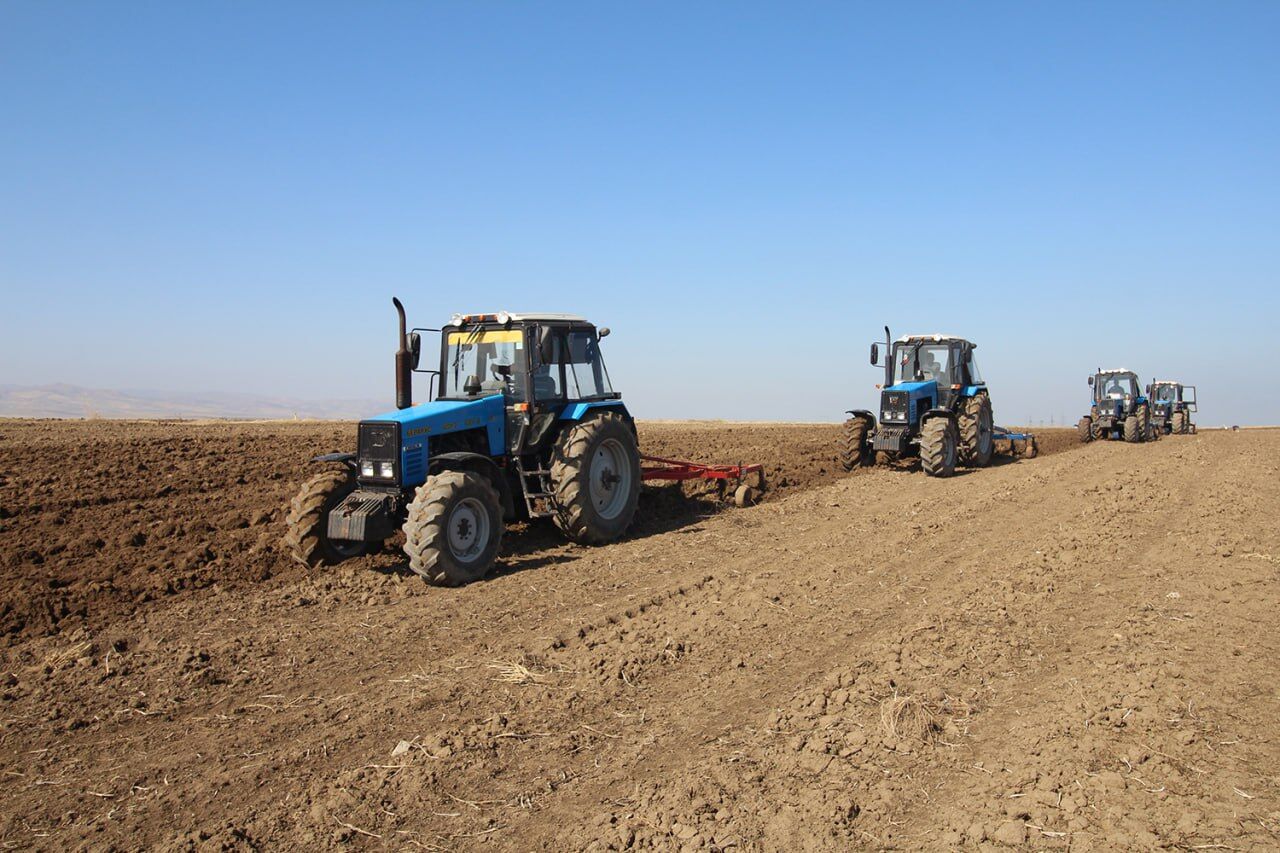 سطح زیرکشت محصولات پاییزه در بیله‌سوار به رکورد جدیدی رسید