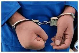 دستگیری ۴ سارق حرفه‌ای در اشنویه