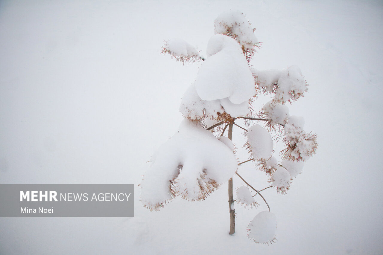 پوشش برفی حوضه‌های آبریز آذربایجان غربی به ۱۰!هزار کیلومتر مربع رسید