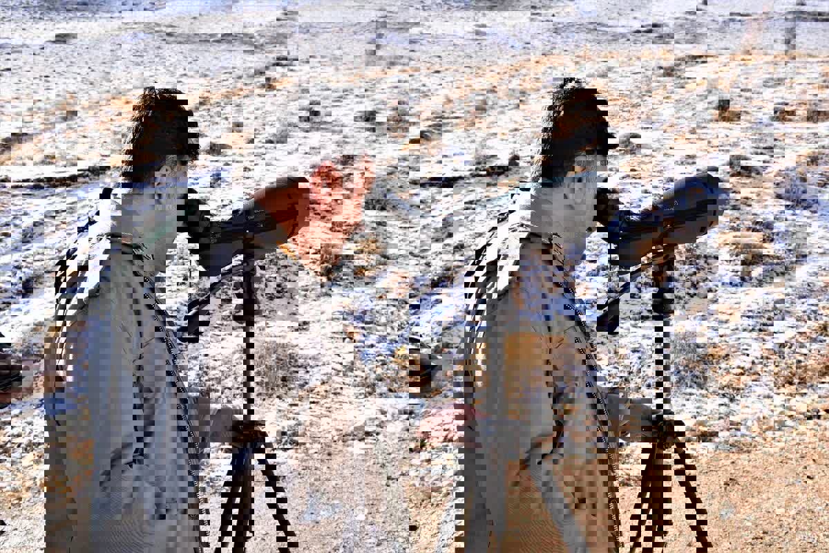 سفیدی:سرشماری زمستانه پستانداران در زیستگاه‌های اردبیل آغاز شد