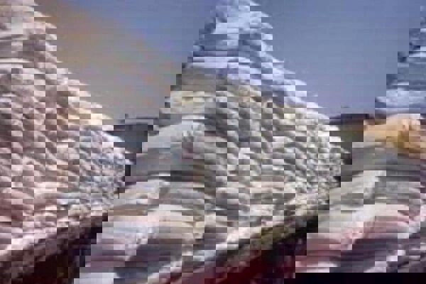 خیرخواه: ۹۰۰ تن برنج خارجی با هدف تنظیم بازار وارد کشور شد