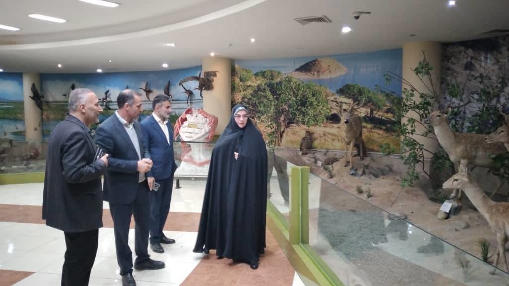 توسعه همکاری‌های آموزشی و فرهنگی محیط زیست و کانون پرورش فکری