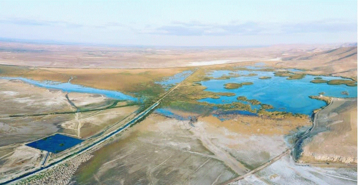 آغاز مرحله دوم آبگیری تالاب کانی‌برازان
