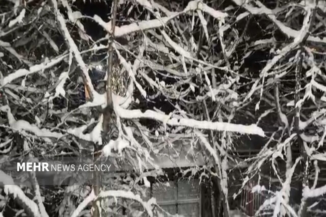 بارش برف در مرکز و محورهای کوهستانی جنوب آذربایجان غربی آغاز شد