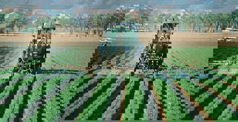 نجفی: اصلاح الگوی کشت تنها راه برون‌رفت از چالش‌های آب و خاک کشور است