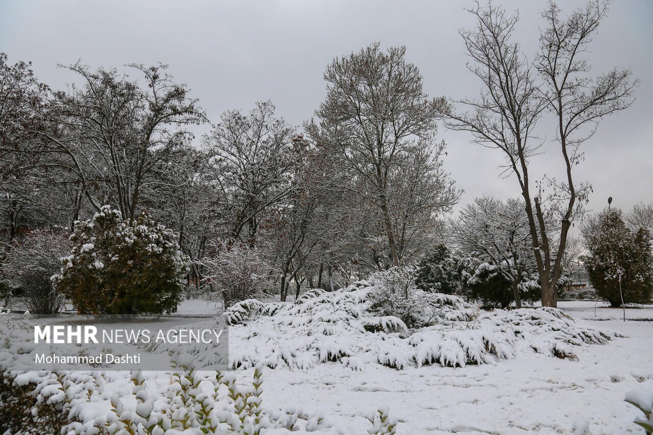 بارش برف پاییزی در اهر