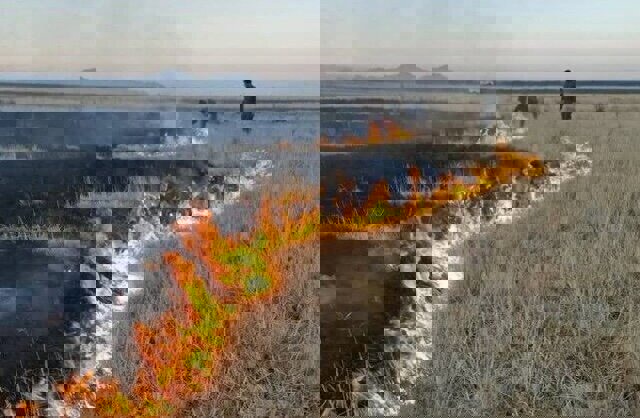 آتش‌سوزی در جنوب پارک ملی دریاچه ارومیه مهار شد