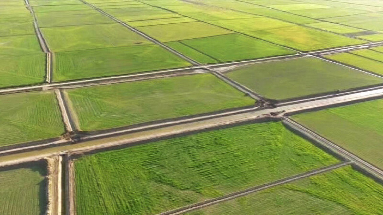 رفع تداخل ۹۵ درصد از اراضی کشاورزی در کشور