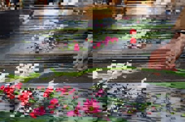 آیین گلباران مزار شهدا در آذربایجان شرقی برگزار می‌شود