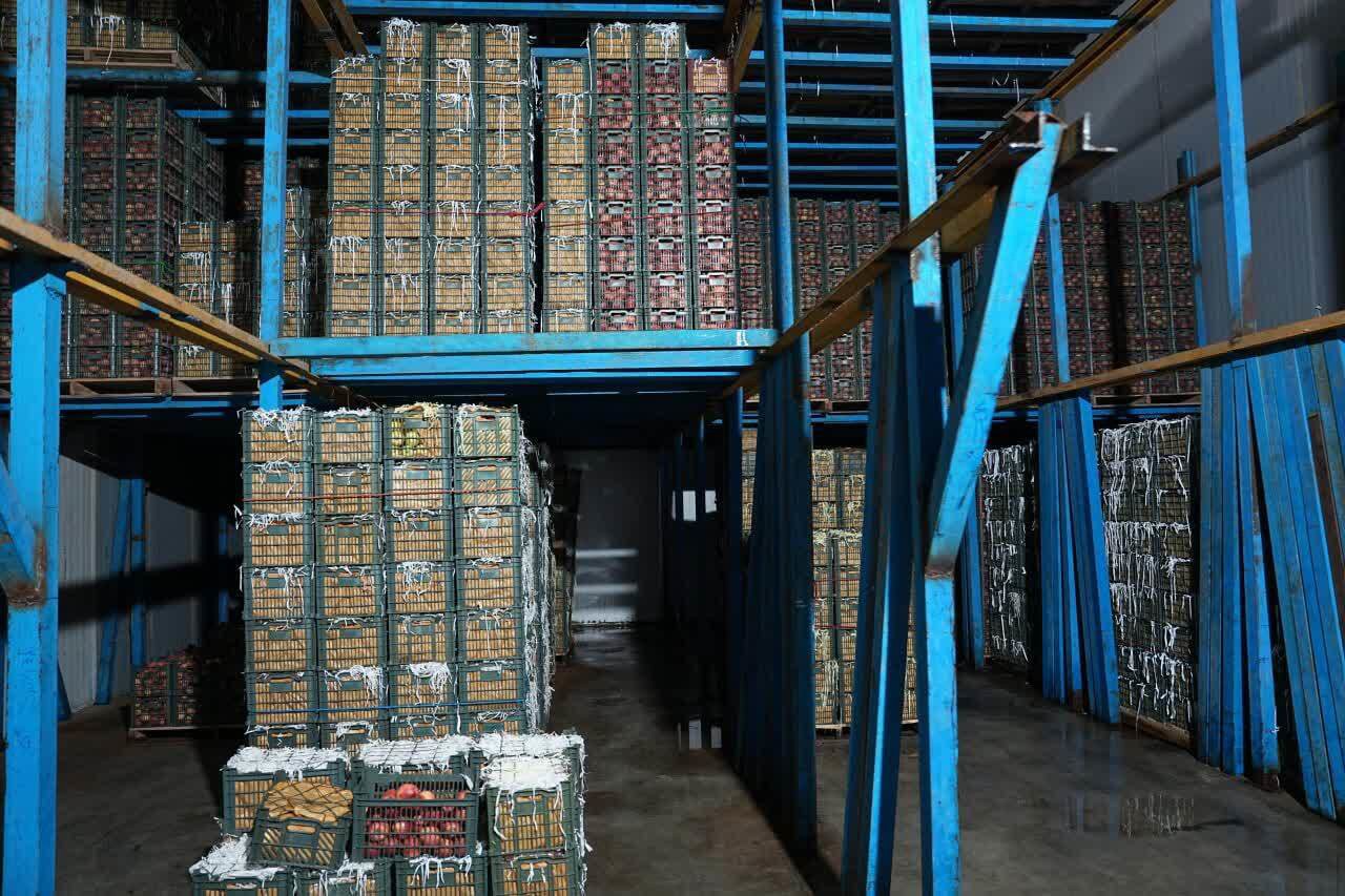 افتتاح سردخانه ۲ هزار تنی ذخیره‌سازی میوه در ارومیه