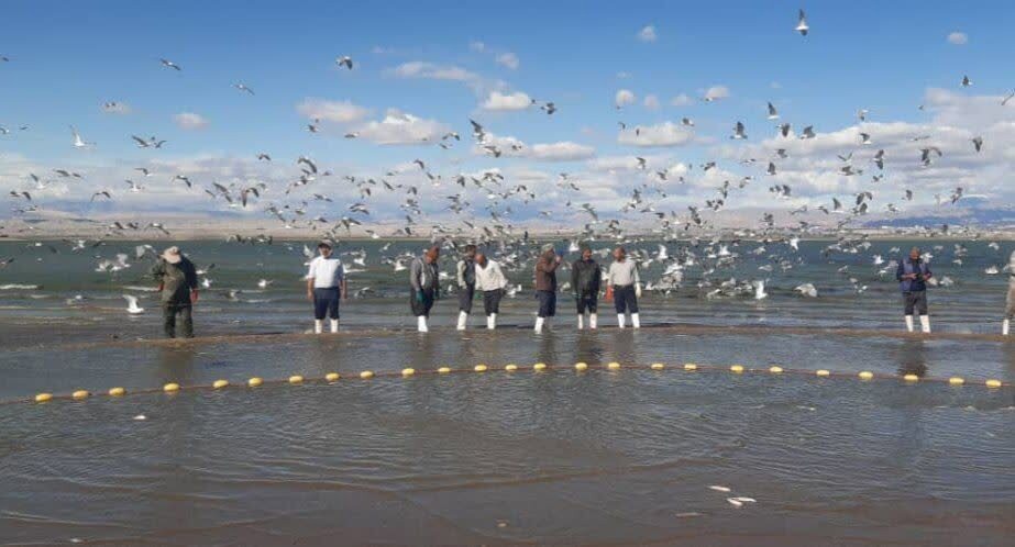 جهش صنعت آبزی پروری در آذربایجان غربی پس از انقلاب اسلامی