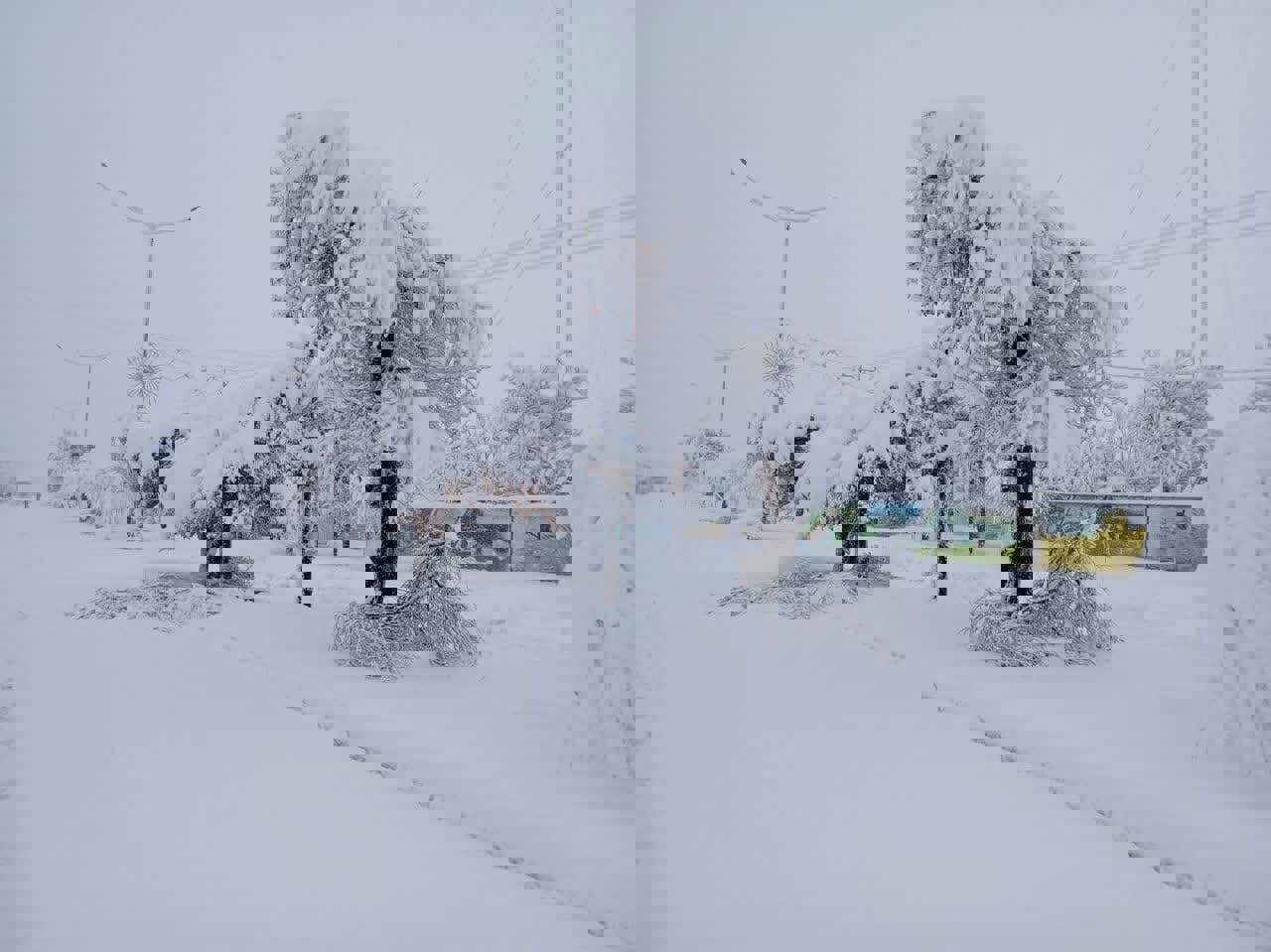 بارش برف و باران در راه آذربایجان‌شرقی؛ احتمال طغیان رودخانه‌ها