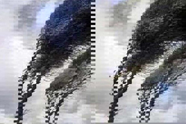 تندباد اردبیل را در بر می‌گیرد