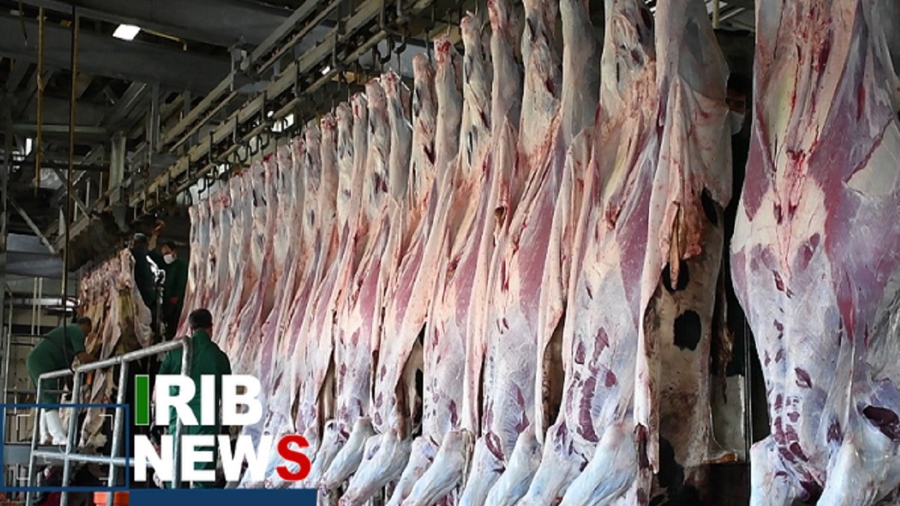 تولید سالانه بیش از ۵ هزار تن گوشت قرمز توسط عشایر آذربایجان شرقی