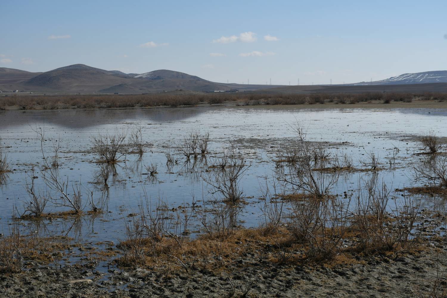 آغاز آبگیری تالاب بین‌المللی قوپی باباعلی