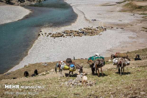 پیام آذری
