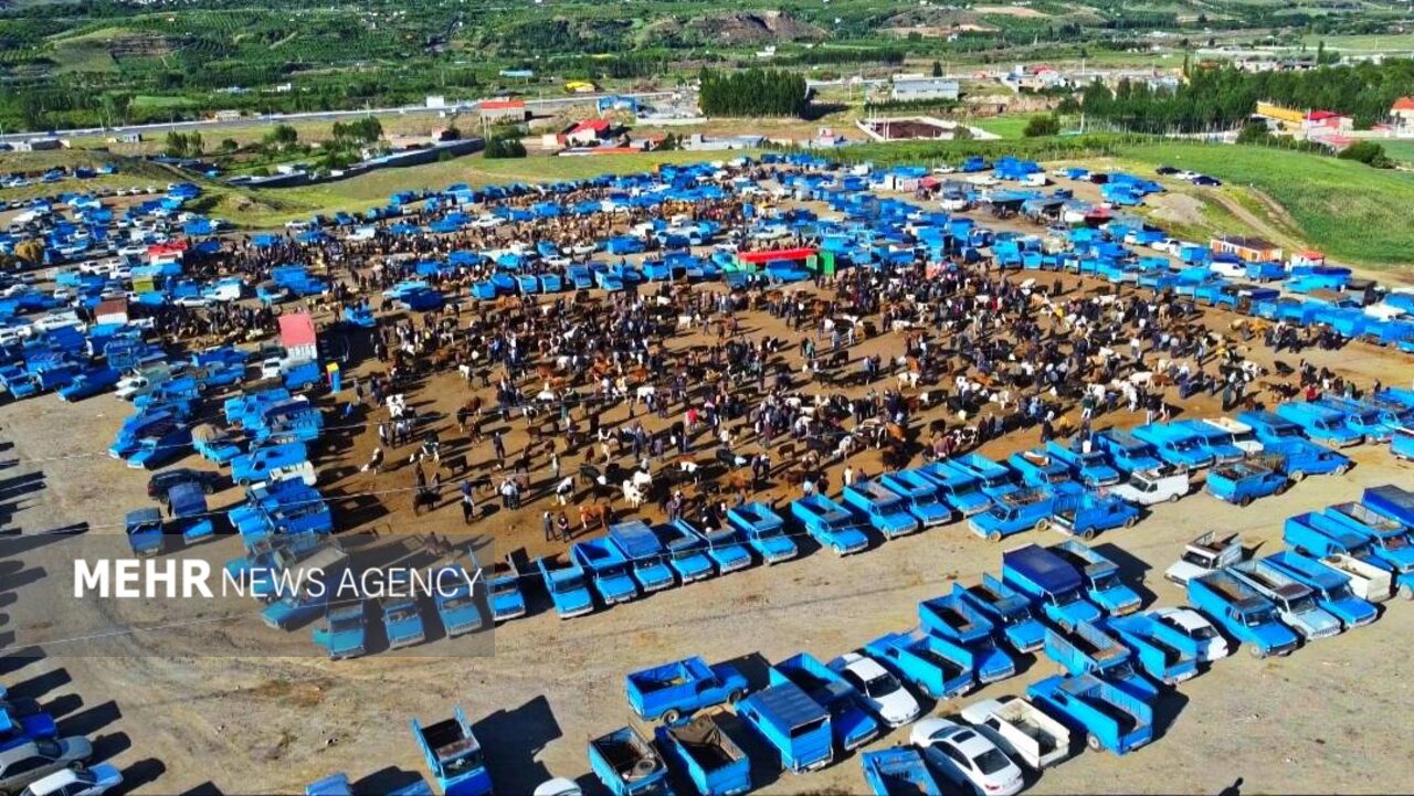 خرید و فروش دام زنده در میدان دوآب شهرستان اهر در آستانه عید قربان