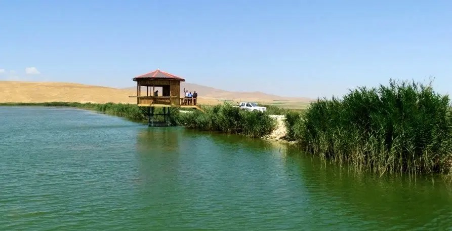 تالاب سولدوز نقده پس از ۱۵ سال سرریز شد