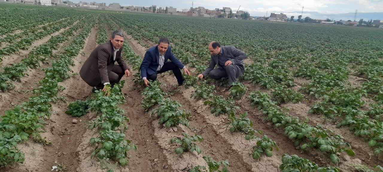 پیام آذری